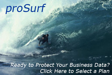 proSurf Remote Backup for Business Data